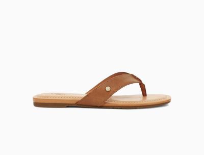 UGG Tuolumne Womens Slides Brown - AU 543OS